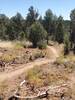 Typical landscape and trail surface for South Rim Extension trail.