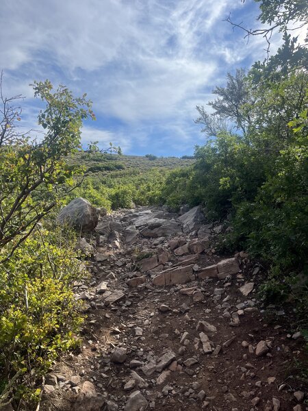 A short technical rock garden near the Stealth fire road.