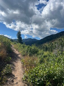 Sure is pretty as you reach the top!