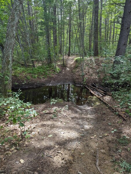 This was the first impassable part after I started at the east trailhead from the Town Forest Road parking lot.  I manage to get across with the downed logs on the right but barely. I would not recommend trying unless you don't mind risking wet feet.