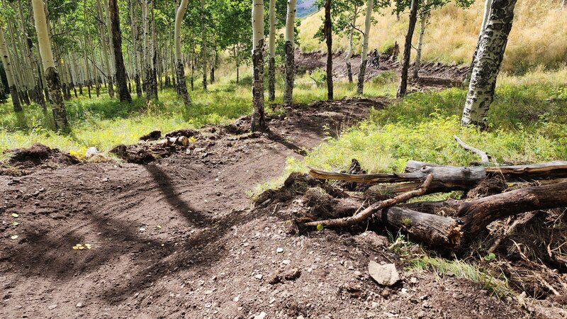 New trail with switchbacks that climb up to the upper bench of Deep Creek.