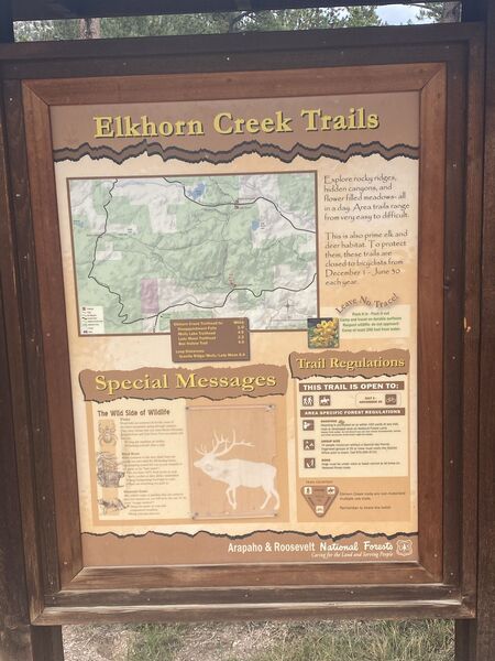 Elkhorn Creek #1