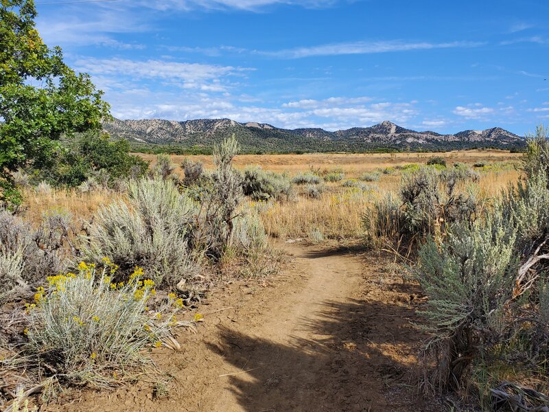 Looking northwest towards Grandview Ridge.