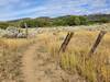 Old wooden fenceline.