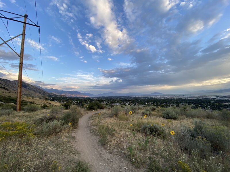 A view south from the top of the trail.