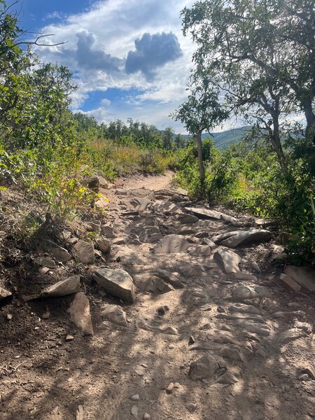 Short technical section as you pass Ant Farm and Cutthroat.