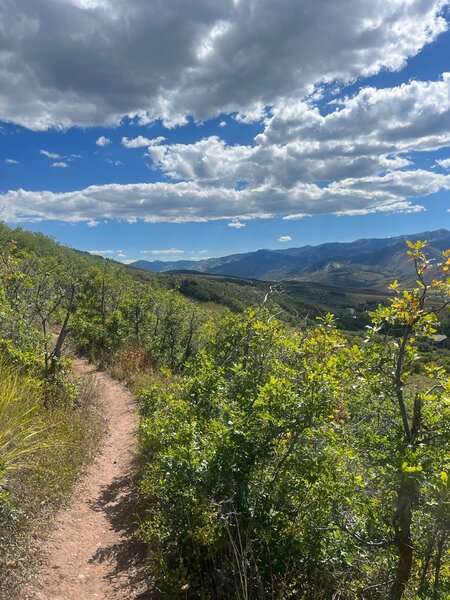 Near the Preserve Connector junction.