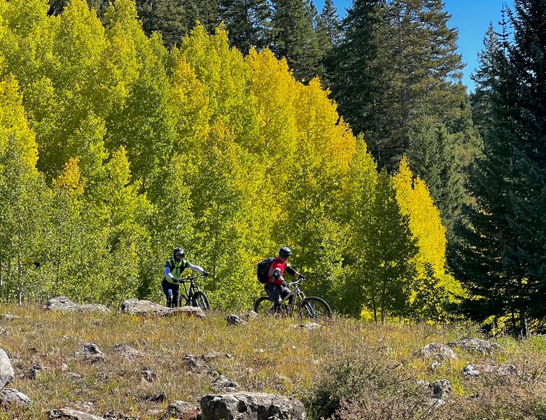 Early fall colors.