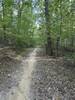 Brown County State Park easy loop about half way through the 7.2 mile loop. Dry conditions and an amazing ride.