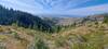 View to the south of Freddie's stack rock trail.