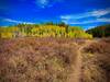 Fall in the meadows.