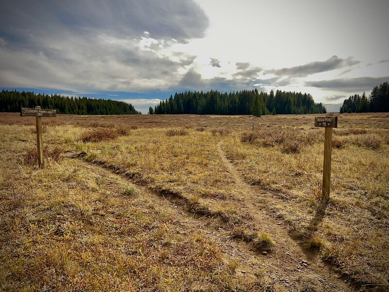 Fork in the trail.