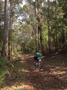 Bike packing along the Estuary.