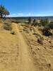 Switchback with views to the southeast over Three Springs.