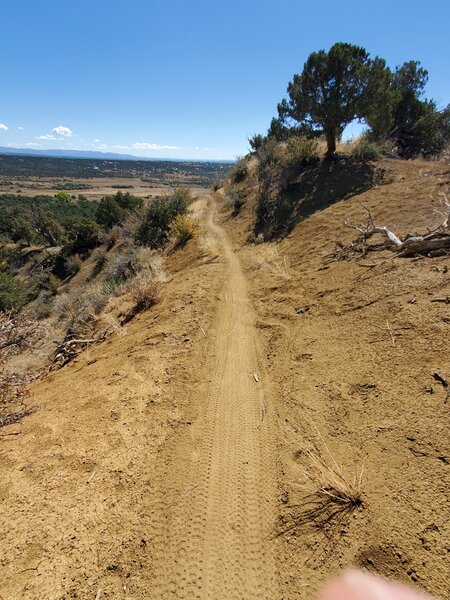 Fun section of trail along a ridgeline.