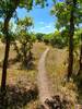 Popping out from the trees on North Spurline Lollipop Loop.