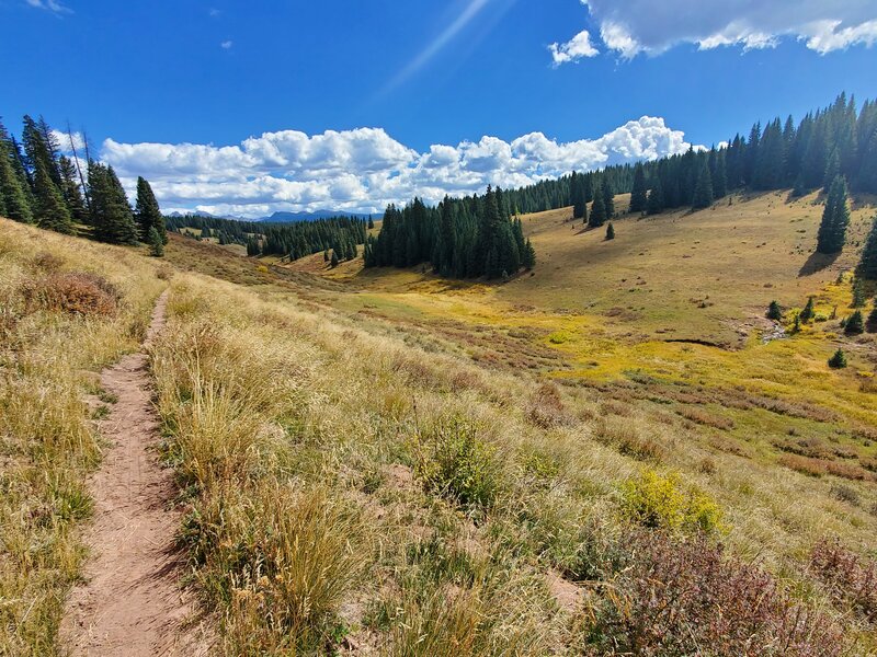 Upper meadows with fall colors.