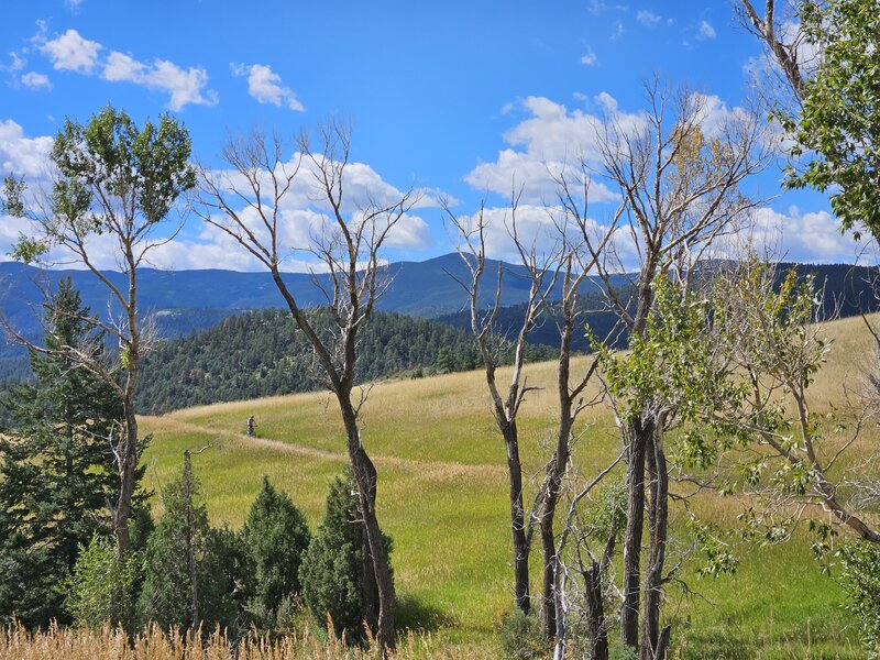 Elk Range section of Centennial Cone.