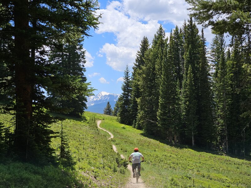 Top section of Cougar Ridge