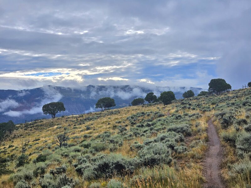 Boneyard trail.