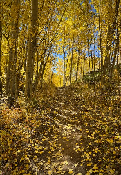 Morning ride through autumn colors.