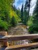 Junction Creek looking downstream from the bridge.