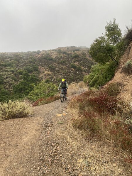 Descending Silverado Motorway.