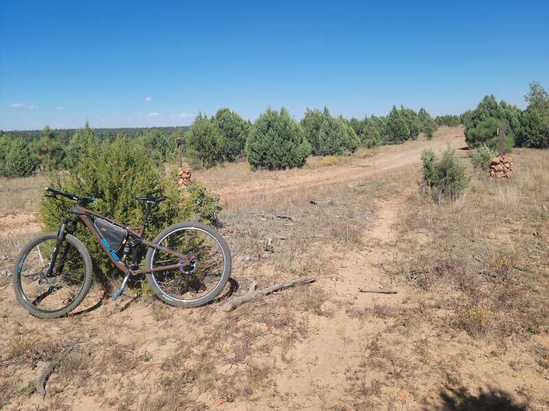 Intersection of Ross Draw Trail and Section Line Trail.