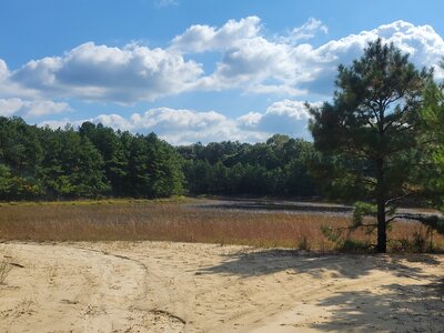 Adjacent vernal pond