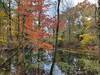 Passing by a small pond, high on the ridge along the Kinderhook Long Loop.