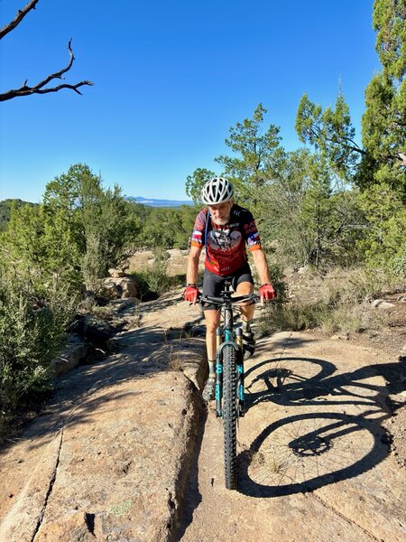 A rare Honey-badger sighting. See him riding through old ruts worn into the rock over 100 years ago by soldiers transporting supplies down to the old Fort Bayard.