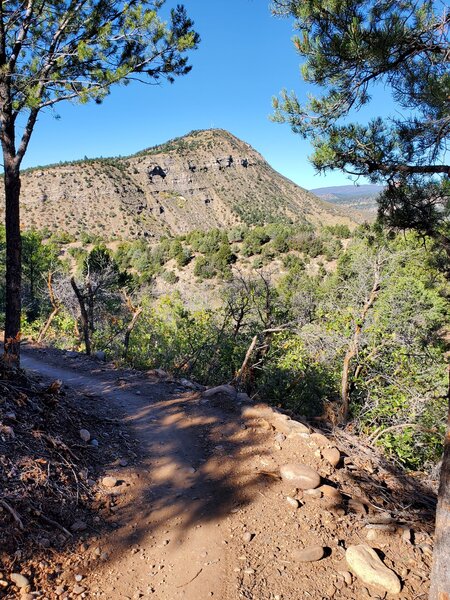 Smelter Mountain in the distance.