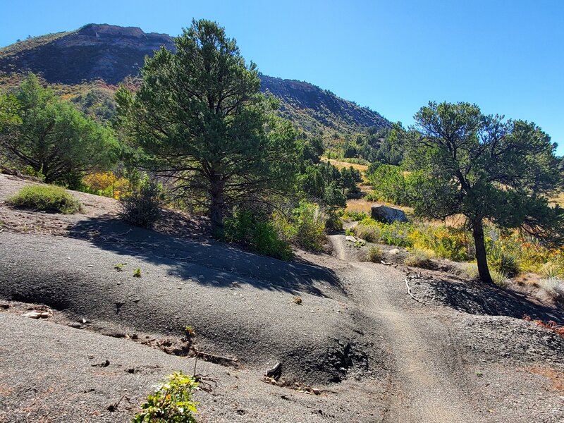 Looking towards Pautsky Point from Telegraph Connector.