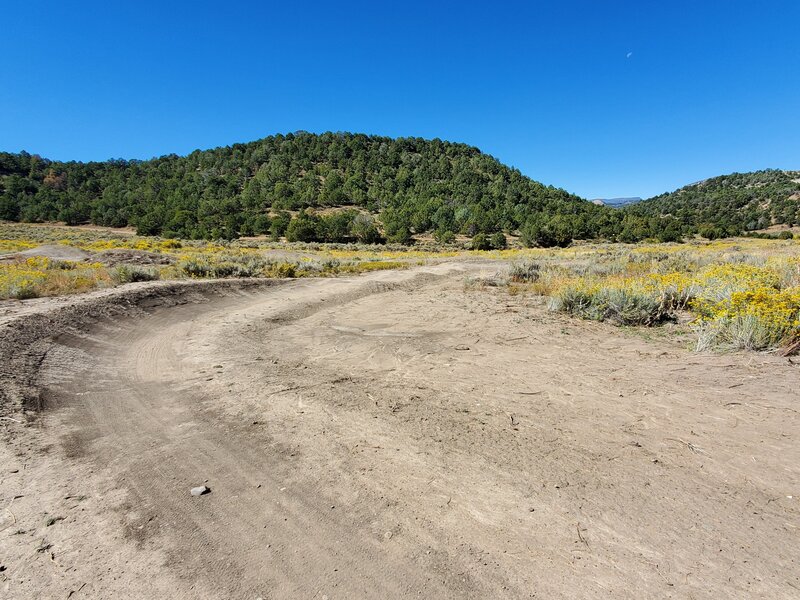 Flatter terrain and big berms at the bottom of Meadow Intermediate Downhill.