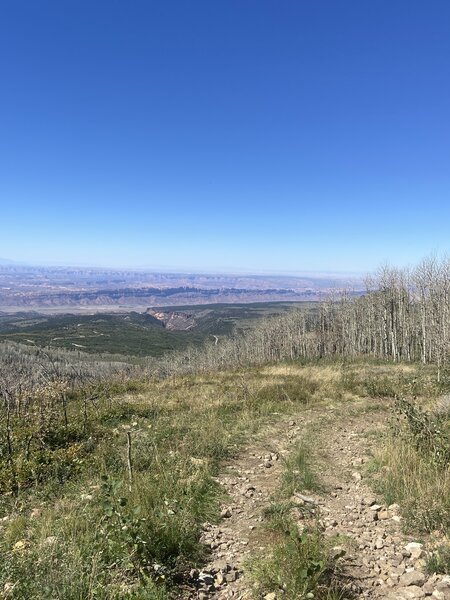 Desert views for days.