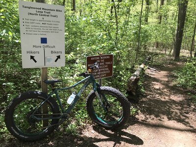 Tanglewood mountain bike outlet trails