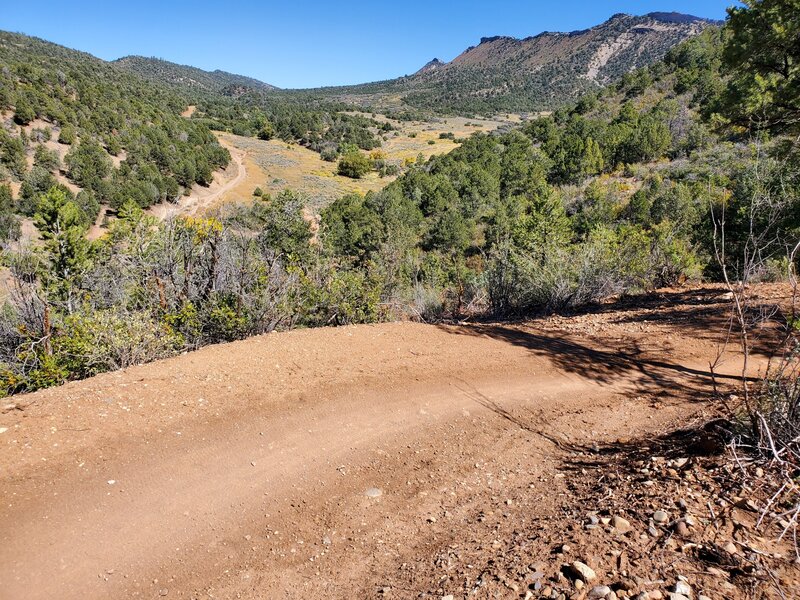 Looking down into the beginning of Horse Gulch Road.