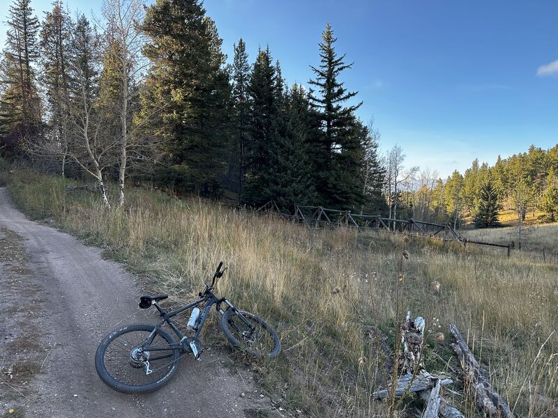 Trail closure on the old trail. It's pretty overgrown and starting to fill back in.