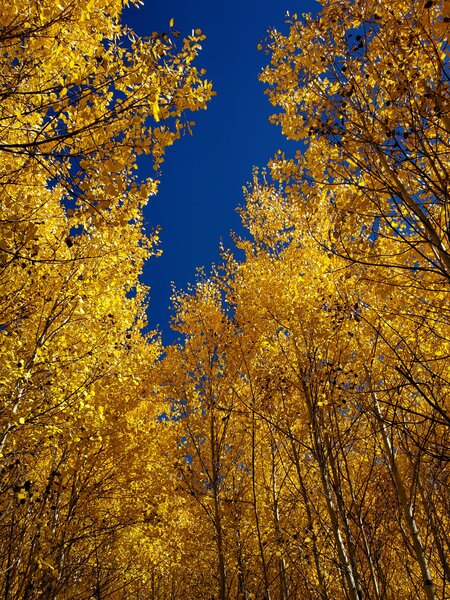 Love the blue, blue Colorado skies!