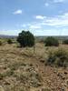 Looking south on top of Boston Hill.