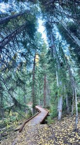 Maryland Creek crossing