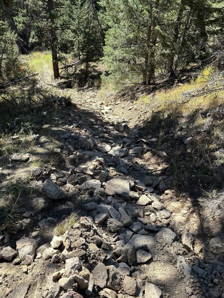 This is the steeper part of gordon gulch....meh.