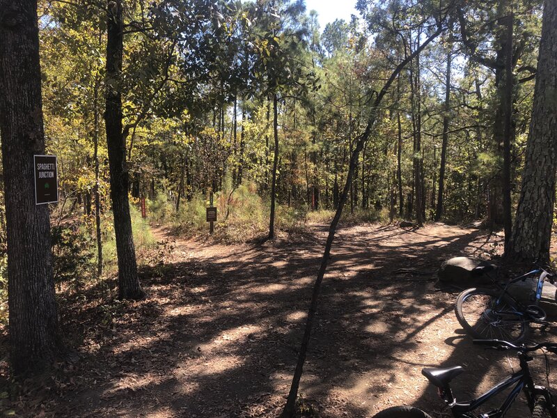 Spaghetti Junction, looking east. End of Doughboy is behind me and an easy climb. From left to right the trailheads are The Bug, Quick Draw (hiking only), Chufi, and Sittin' Pretty.