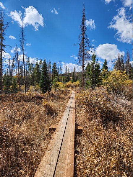 Too-pwech Bridge, elevated trail through wet area.