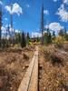 Too-pwech Bridge, elevated trail through wet area.