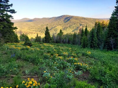 The view from the trail.