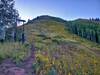 The Murdock Peak Bootpack Trail in Summer. The is trail crosses the saddle at it's base.