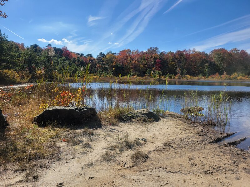 Northeast corner of the pond