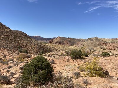 Mill Creek views ahead.