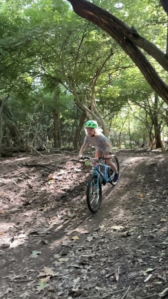 Ten Point Rack - Black Trail Mountain Bike Trail, Worthington, Ohio